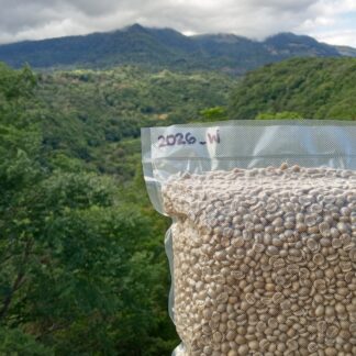Catuai Washed. Green beans for home roasters. 5lbs